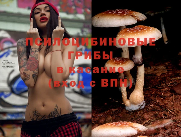 2c-b Липки