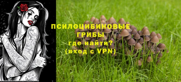 твердый Лиски