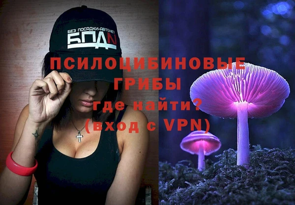 твердый Лиски