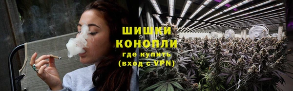твердый Лиски