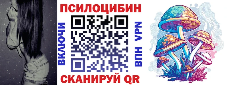 omg tor  Ясный  Псилоцибиновые грибы ЛСД  цены наркотик 